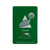 New York City fem (Pyramid Seeds), Испания