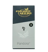 Pandora autofem (Paradise Seeds), Нидерланды