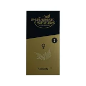 White Noise fem (Paradise Seeds), Нидерланды