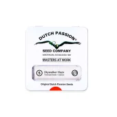 Skywalker Haze fem (Dutch Passion), Нидерланды