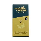 Sweetopia fem (Paradise Seeds), Нидерланды