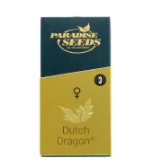 Dutch Dragon fem (Paradise Seeds), Нидерланды