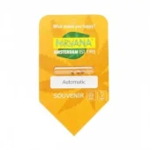 Skunk #1 Automatic autofem (Nirvana), Нидерланды