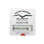 Californian Orange fem (Dutch Passion), Нидерланды