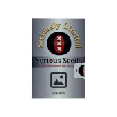 CBD-enriched Warlock fem (Serious Seeds), Нидерланды