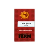 Glue Gelato Auto fem (Barney's Farm), Нидерланды