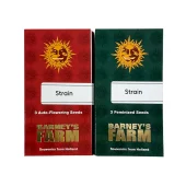 Gorilla Zkittlez Auto fem (Barney's Farm), Нидерланды