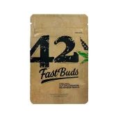 Original Auto Cinderella autofem (FastBuds), Америка