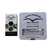 Lemon Zkittle fem (Dutch Passion), Нидерланды